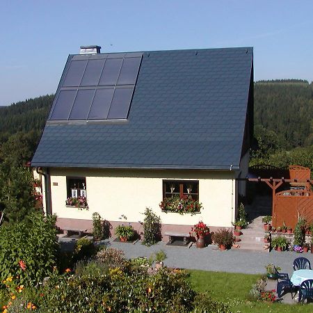 Ferienwohnung Petzold Altenberg Luaran gambar