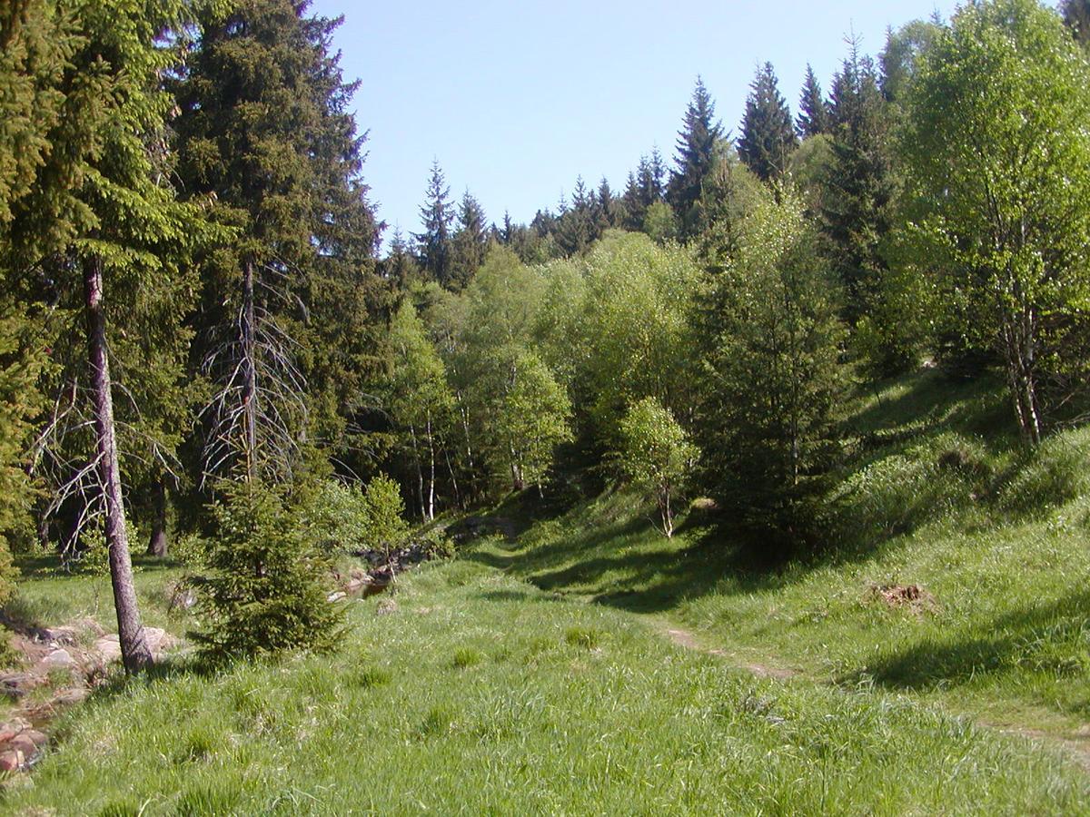 Ferienwohnung Petzold Altenberg Luaran gambar